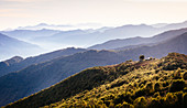 View from Monte Spalavera, Trarego, Viggiona, Lake Maggiore, Piedmont, Italy