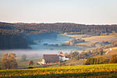 Bauernhof im herbstlichen Morgennebel, Schwarzwald, Baden Württemberg, Deutschland