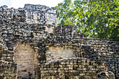 Mayan pyramid on Calakmul temple grounds in the jungle, Yucatan Peninsula, Mexico