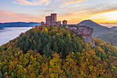 Aerial view of Trifels Castle near Annweiler, Wasgau, Palatinate Forest, Rhineland-Palatinate, Germany