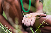 Mann vom San-Volk (Buschmann) mit Skorpion, Botswana (Nahaufnahme)