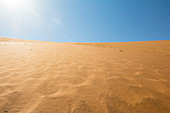 Bottom view of Big Daddy Dune in Deadvlei, Sossusvlei, Sesriem, Namibia