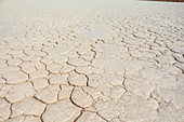 Rissiger Boden des Deadvlei (weiße Salz-Ton-Pfanne), Sossusvlei, Sesriem, Namibia