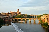 Frankreich, Tarn, Albi, Bischofsstadt, UNESCO-Weltkulturerbe, die alte Brücke aus dem 11. Jahrhundert und die Kathedrale Sainte Cecile