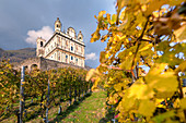 The vineyards of Sanctuary of Santa Casa di Loreto in Tresivio, Sondrio Province, Valtellina, Lombardy, Italy, Europe