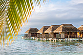 Azul Paradise Resort, Insel Bastimentos, Provinz Bocas del Toro, Panama, Mittelamerika