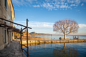 Punta San Vigilio, Provinz Verona, Venetien, Italien, Europa, altes Gebäude vor der Bucht und ein großer Baum auf dem Dock