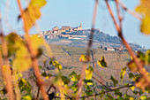 Langhe, Cuneo district, Piedmont, Italy. Autumn in the Langhe wine region, la Morra village 