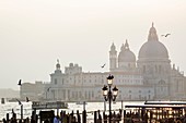 Italy, Veneto, Venice, listed as World Heritage by UNESCO, the Punta della Dogana and Santa Maria della Sallute