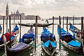 talie, Veneto, Venice, listed as World Heritage by UNESCO, Castello area, with Riva Degli Schiavoni in the background the church of San Giorgio Maggiore