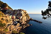 Italien, Ligurien, Nationalpark Cinque Terre, UNESCO-Weltkulturerbe, Manarola