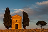 Italien, Toskana, Val d'Orcia, UNESCO-Weltkulturerbe, Landschaft in der Nähe von Pienza, die Kapelle Madonna di Vitaleta