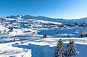 Ski area Alpe di Siusi, South Tyrol, Italy