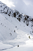 Past avalanche on ski tour in the Pflersch valley, South Tyrol, Italy