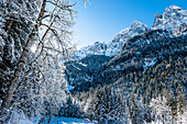 Verschneite Winterlandschaft, Bad Ratzes, Südtirol, Italien