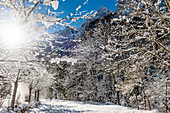 Snowy winter landscape, Bad Ratzes, South Tyrol, Italy
