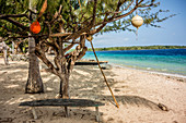 Einsamer Strand auf Malekula, Vanuatu, Südsee, Ozeanien