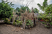 Small garden on Malekula, Vanuatu, South Pacific, Oceania