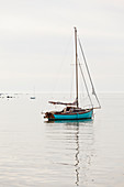 Segelboot vor Anker bei Saint Vaast la Hougue, Cotentin Halbinsel, Normandie, Frankreich