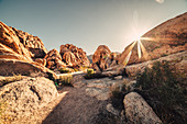 Rocks at sunrise in Joshua Tree National Park, Los Angeles, California, USA, North America