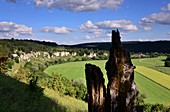 12 apostles near Solnhofen, landscape, rocks, meadow, tree stump, clouds, Altmuehltal, North Upper Bavaria, Bavaria, Germany