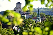 View of Pappenheim with castle, church tower, leaves, Altmuehltal, North Upper Bavaria, Bavaria, Germany