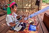Kayan Lahwi Frau mit Messinghalsringen und traditioneller Kleidung, spinnt Baumwolle in ihrem Geschäft. Sie hat hinter sich den handgewebten Stoff ausgestellt, den sie an Touristen verkauft. Pan Pet Region, Bundesstaat Kayah, Myanmar.