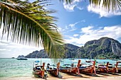 Phi Phi Island,  Thailand - November 26 2019: traditional wooden longtail boats parked at a beach in Phi Phi Island. Clear water and clean beach.