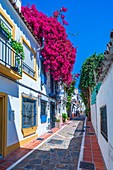 Marbella, Andalucia, Spain, Europe