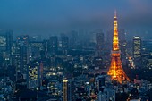 Tokyo, Japan, Luftaufnahme des Tokyo Tower