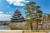 Burg Matsumoto, Japan