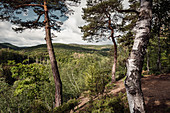 Ausblick am Christians Eck, Nationalpark Kellerwald-Edersee, Hessen, Deutschland, Europa