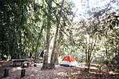 Tent between conifers with fire pit and picnic table, Pfeiffer Big Sur State Park, California, USA.