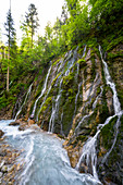 Creeks and rinsals find their way down the steep slopes of the Wimbachklamm, Berchtesgadener Land, Bavaria, Germany