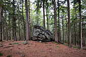 Blick auf den Wanderweg zum Lusen im Nationalpark Bayerischer Wald, Niederbayern, Bayern, Deutschland, Europa