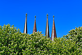 Blick auf blühende Kastanienbäume und die Turmspitzen des alten Doms in Skara, Västergötland, Schweden
