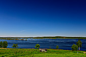 Blick über den Torneälv gen Finnland, bei Turtola, Norrbottens Län, Schweden