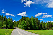 Lonely road in a beautiful landscape in Lapland, near Korrsjön, Västerbottens Län, Sweden