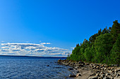Felsiger Strand und Wald am Meeresufer, Naturreservat Bjuröklubb, Västerbottens Län, Schweden