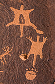 Petroglyphen am Newspaper Rock im Indian Creek National Monument, ehemals Teil des Bears Ears National Monument, Süd-Utah, USA