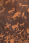 Petroglyphen von Tierspuren, hergestellt vom Ute-Volk am Newspaper Rock im Indian Creek National Monument, ehemals Teil des Bears Ears National Monument im Süden von Utah, USA