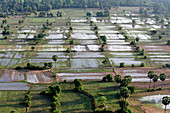 Cambodia, Siem Raep, Angkor, Aerial view, Rice fields and jungle