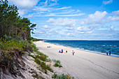 Baltic Sea beach Bansin with a view into the distance. High dunes with pine forest, grasses, people on the beach, Usedom, Mecklenburg-Western Pomerania, Germany