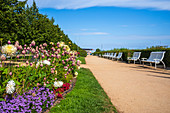 Begrünte Strandpromenade in Bansin Sitzbänken und Touristen im Sommer blauer Himmel, Usedom, Mecklenburg-Vorpommern, Deutschland