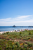 Idyllic panorama beach in Bansin, view of pier in Heringsdorf over a dune, Usedom, Mecklenburg-Western Pomerania, Germany