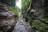 Blick auf den Holzsteig durch das Alploch, Wanderung Rappenlochschlucht, Dornbirn, Vorarlberg, Österreich, Europa
