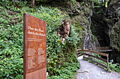 Beschreibungstafel am Eingang zum Alploch am Wanderweg in der Rappenlochschlucht, Dornbirn, Vorarlberg, Oesterreich, Europa