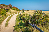 Hiking trail on the Wadden side of Keitum, Sylt, Schleswig-Holstein, Germany
