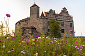 Flower meadow in front of Cadolzburg Castle in the evening light, Cadolzburg, Franconia, Bavaria, Germany