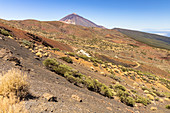Landschaft im El Teide Nationalpark mit Blick auf den Gipfel des Vulkans, Teneriffa, Spanien